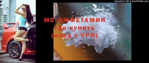 хмурый Белокуриха