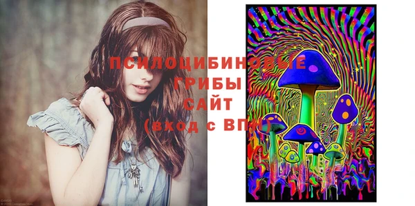 мдпв Богородицк