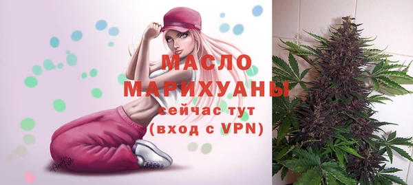 мдпв Богородицк
