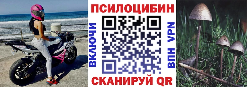 хочу   Клин  ОМГ ОМГ маркетплейс  Псилоцибиновые грибы прущие грибы 